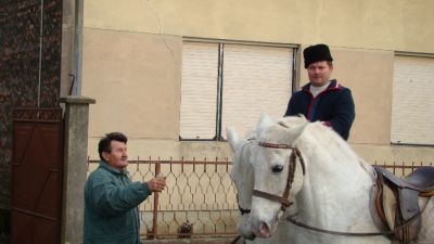 Božićno jahanje u Dopsinu: Rekordan broj sudionika